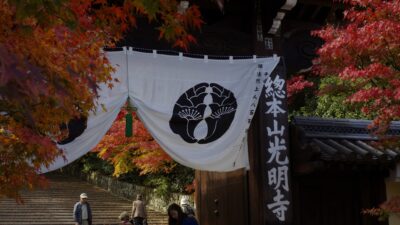 長岡京 光明寺に紅葉の穴場を求めて
