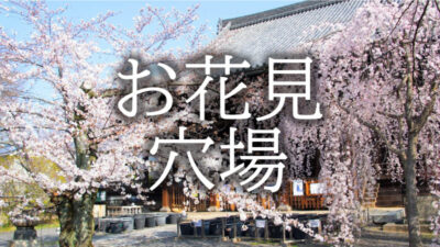 地元民が内緒にしているお花見の穴場