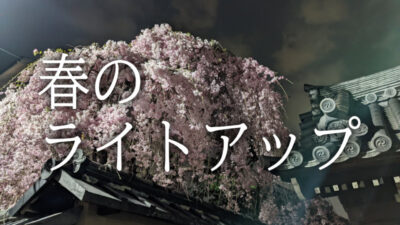 春のライトアップ特集