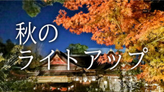 秋のライトアップ特集