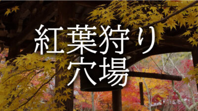 地元民が教える紅葉の穴場５選
